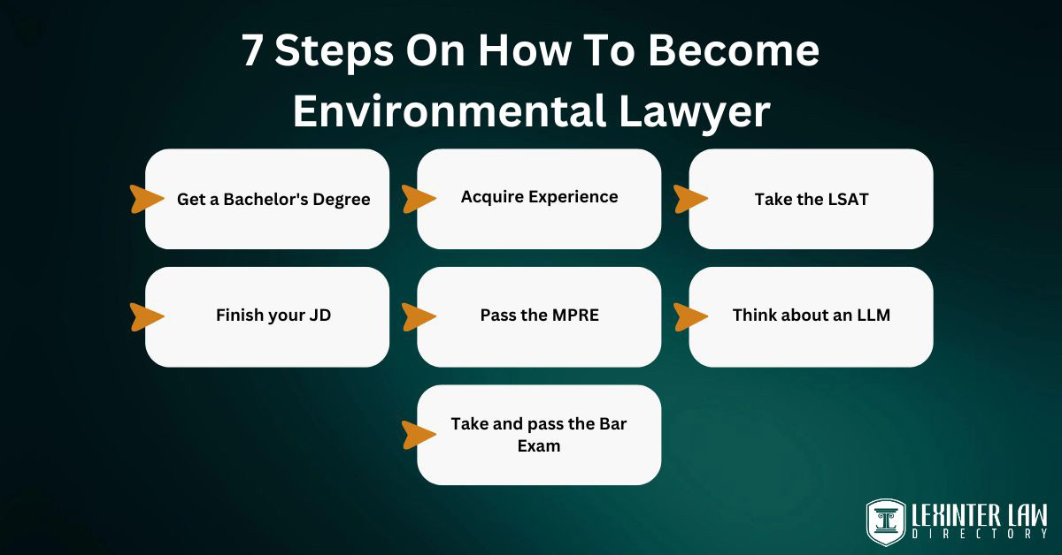 7 Essential Steps On How To Become An Environmental Lawyer 7 steps on how to become environmental lawyer