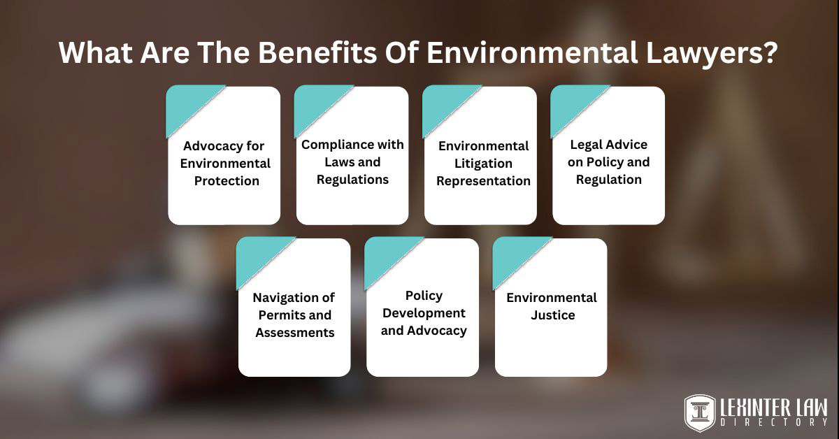 7 Essential Steps On How To Become An Environmental Lawyer What Are The Benefits Of Environmental Lawyers