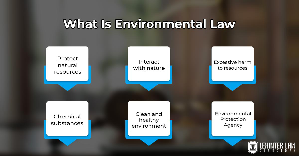 Environmental Law: Exploring Regulations For Conservation And Sustainability What Is Environmental Law